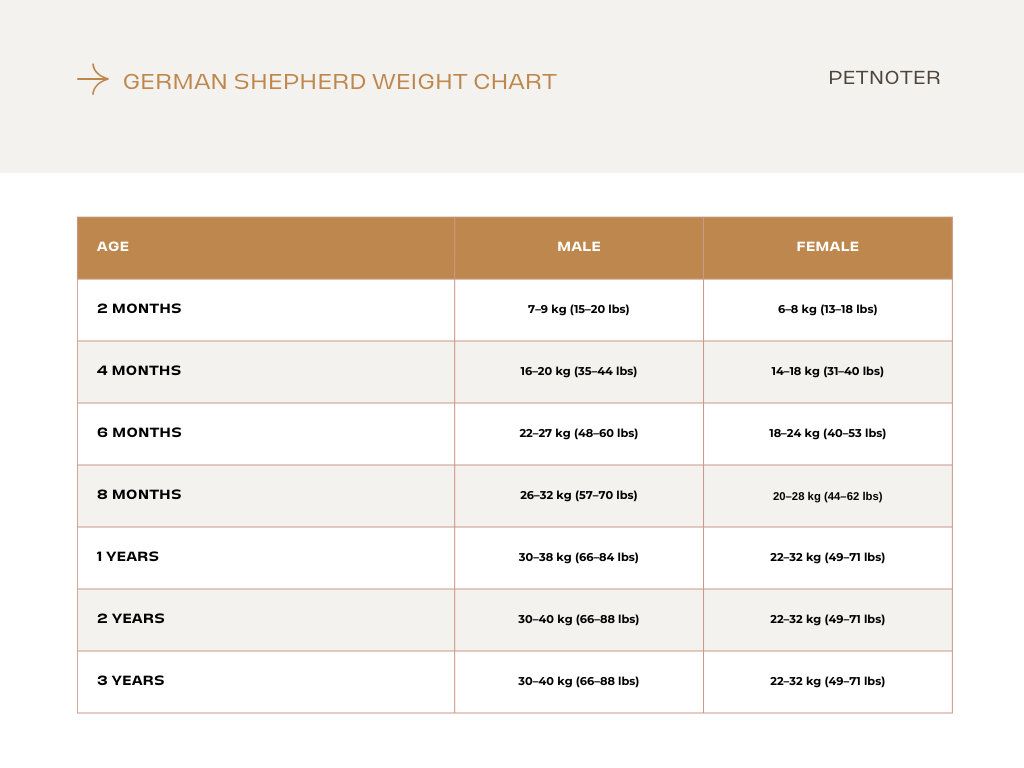 German Shepherd weight chart by age