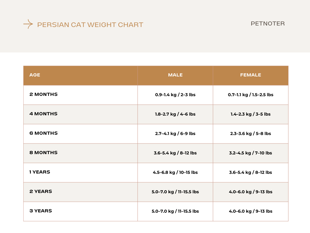 Persian Cat weight chart by age