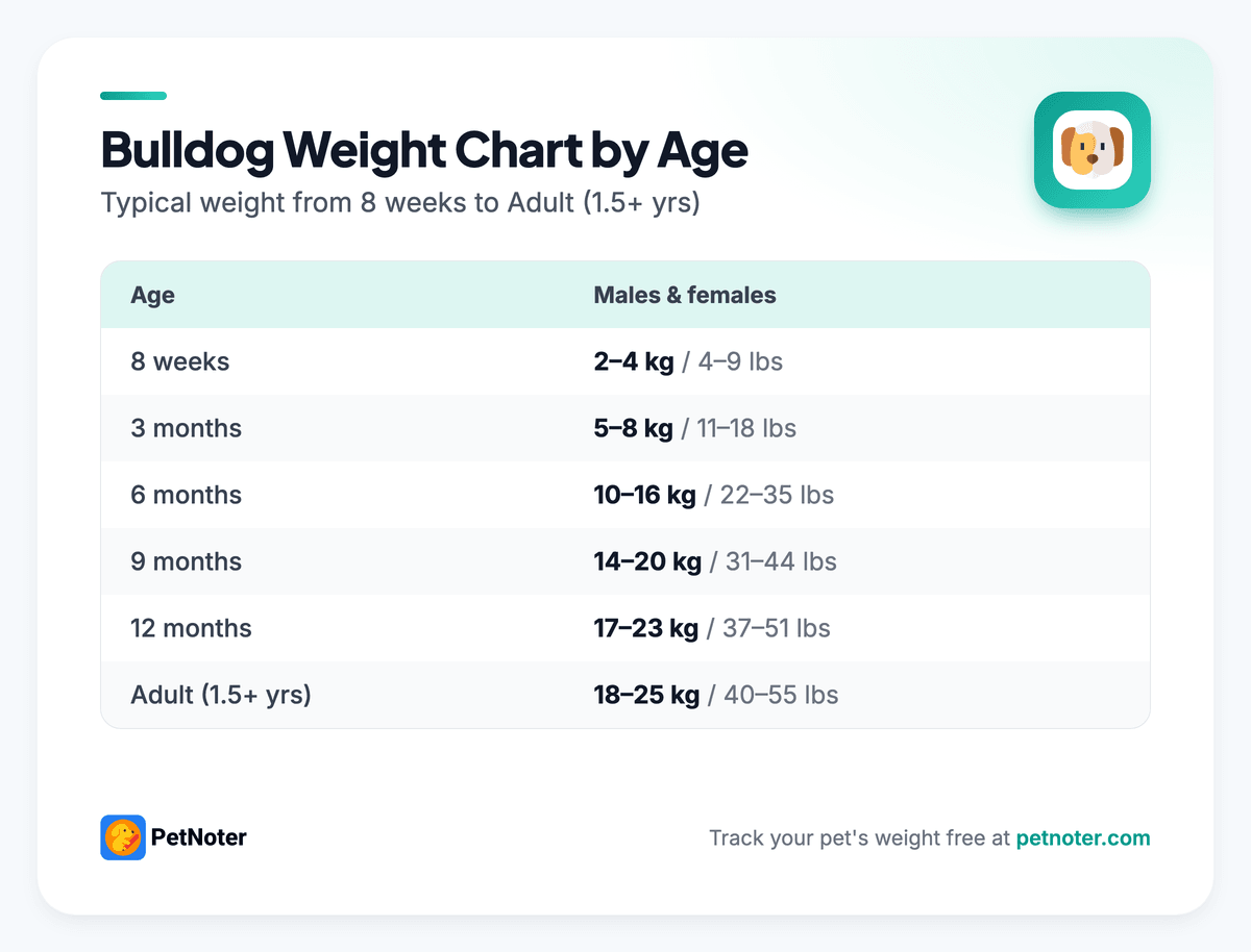 Bulldog weight chart by age