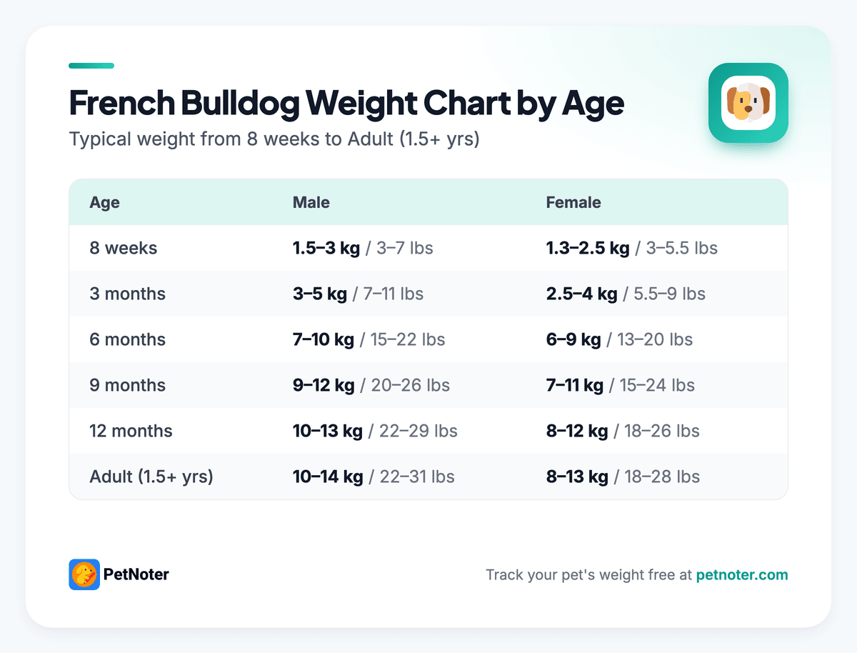 French Bulldog weight chart by age