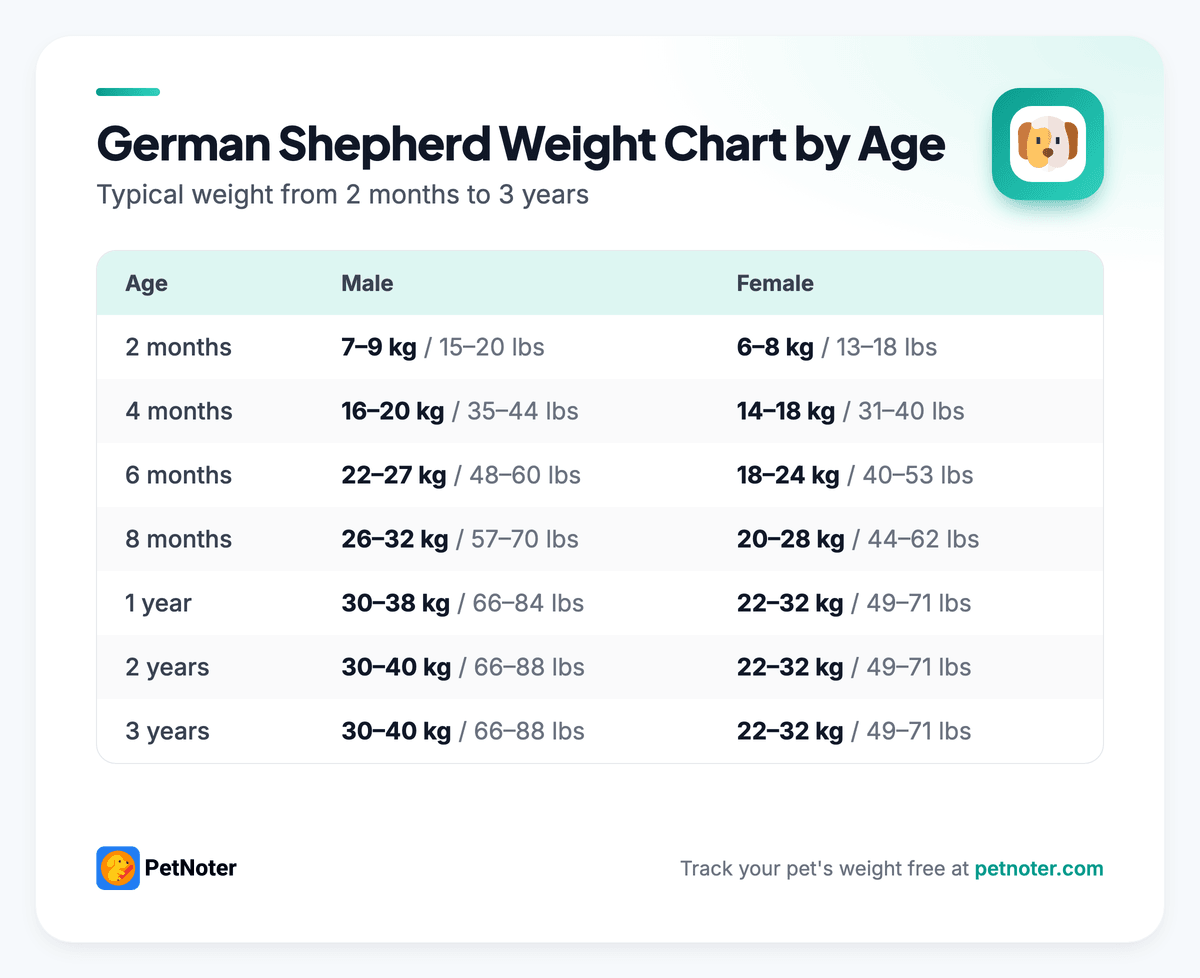 German Shepherd weight chart by age