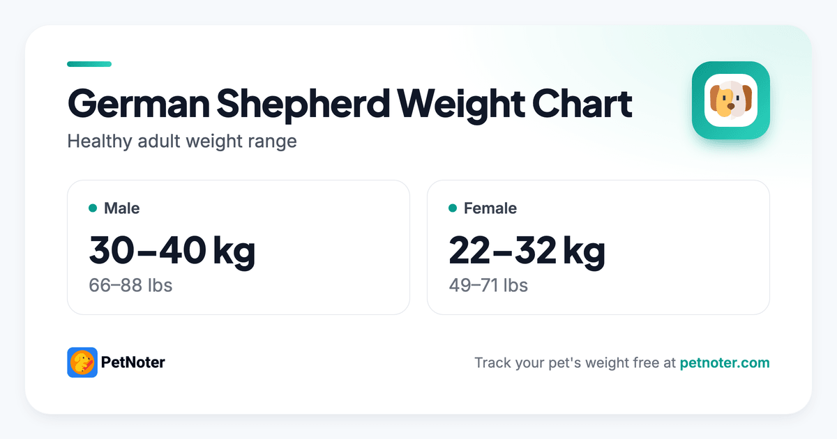 German Shepherd normal weight range chart