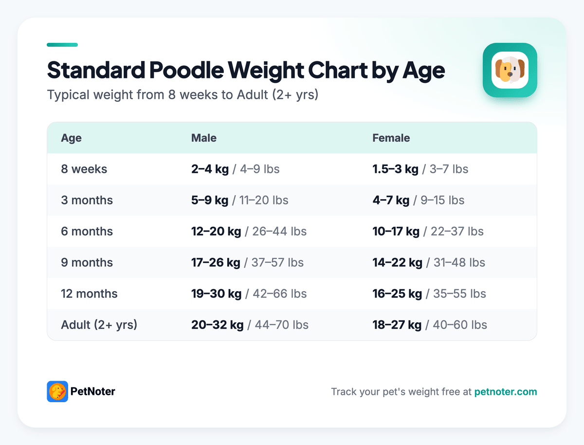 Standard Poodle weight chart by age