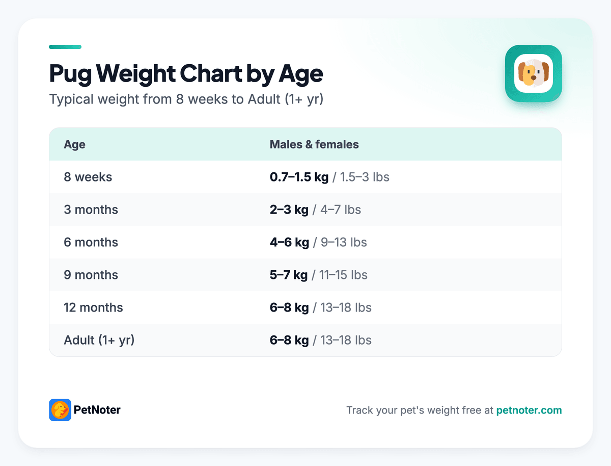 Pug weight chart by age