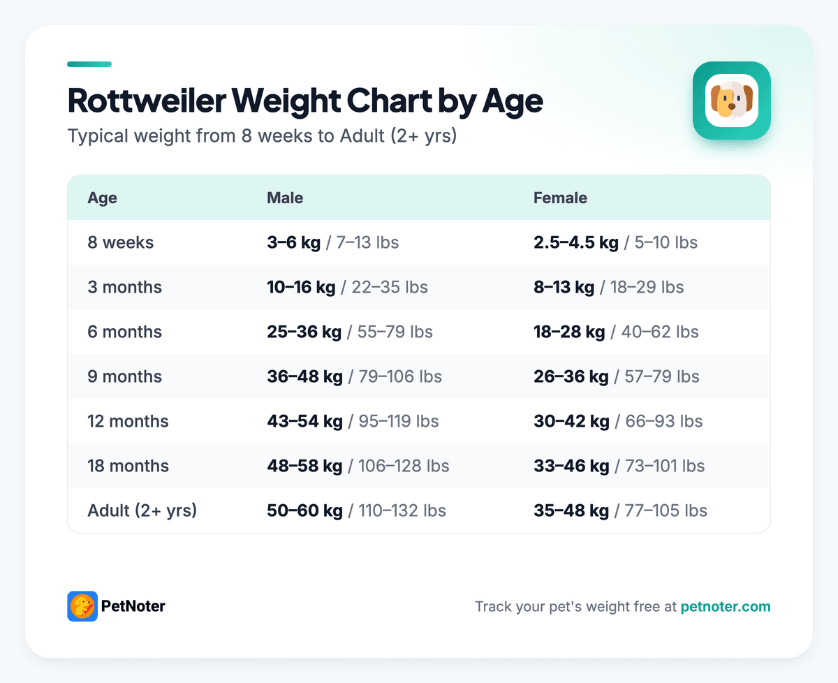 Rottweiler weight chart by age