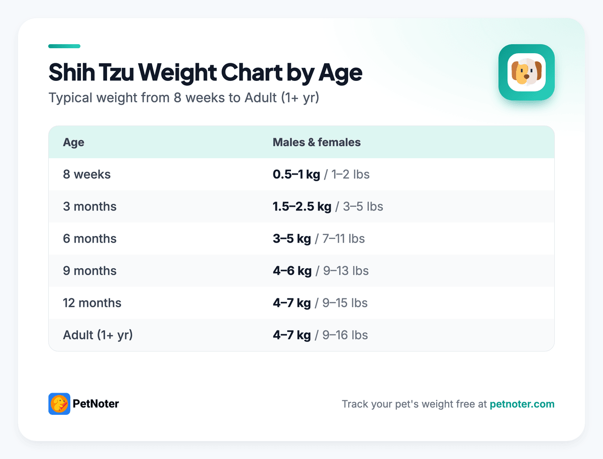 Shih Tzu weight chart by age