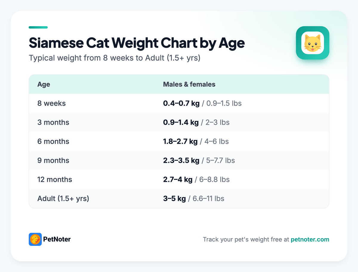 Siamese Cat weight chart by age